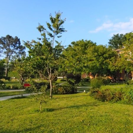 Clínica Pérez-Espinosa - Jardín